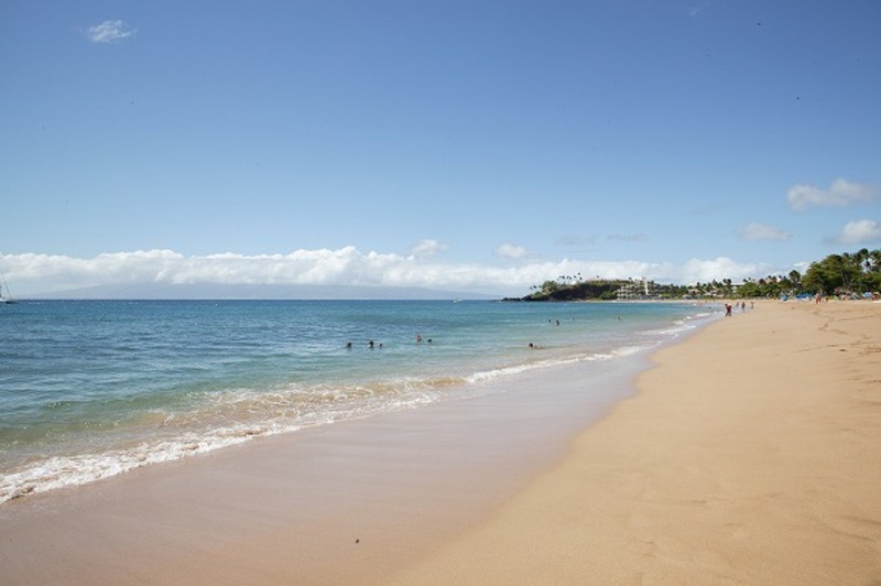 南国の海 砂浜 青空
