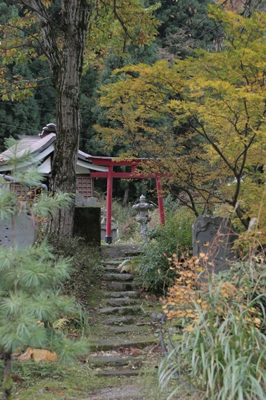 神社 鳥居 紅葉風景
