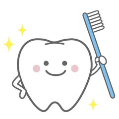 歯のイラスト
